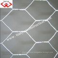 Hexagonal Wire Mesh (fábrica y proveedor)